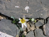 dscn1268.jpg