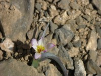 dscn1269.jpg