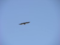 dscn1272.jpg