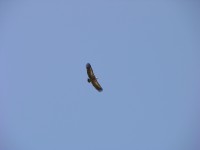 dscn1275.jpg