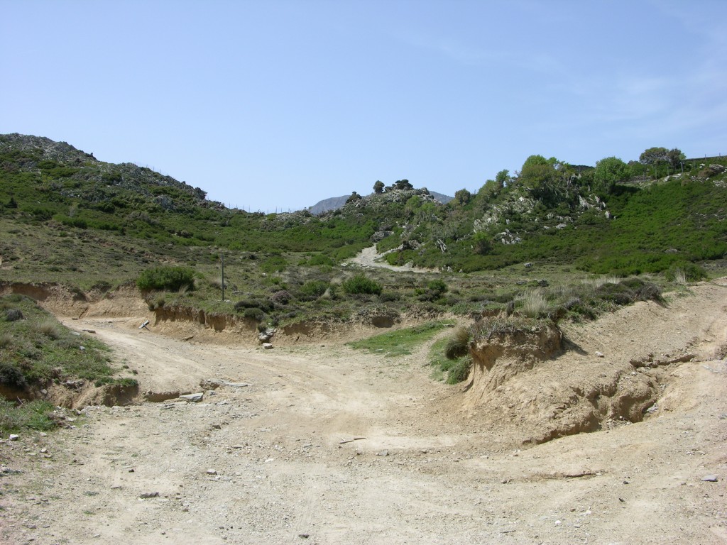 dscn1279.jpg