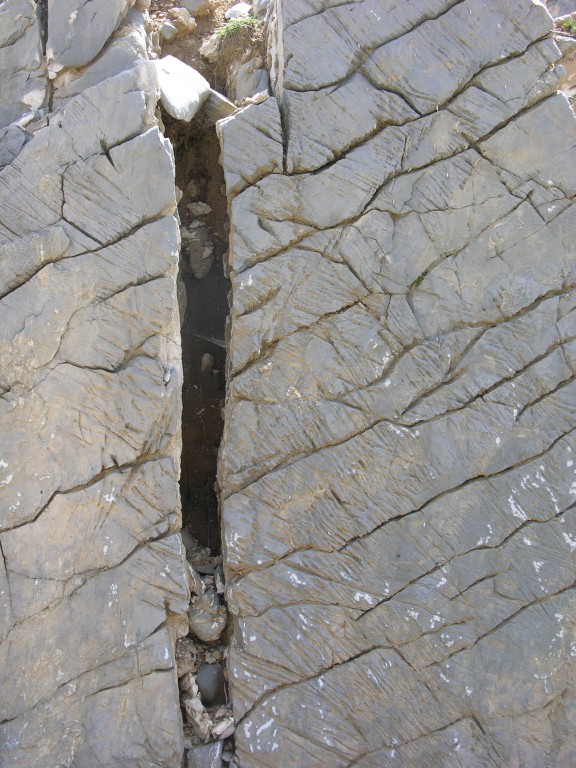 dscn1281.jpg