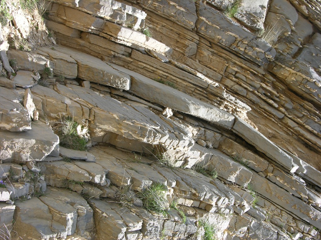dscn1282.jpg