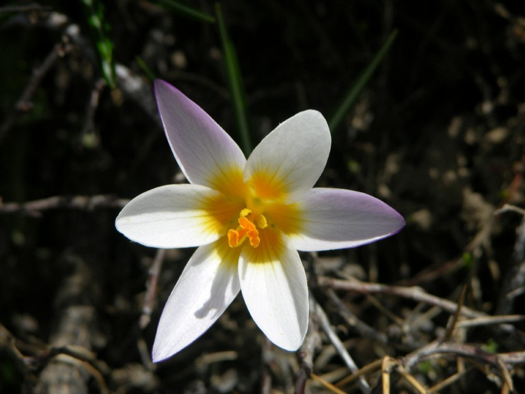 dscn1283.jpg