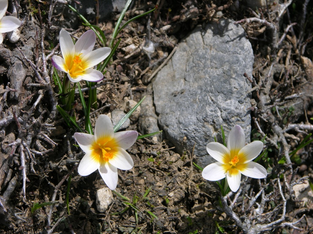 dscn1284.jpg