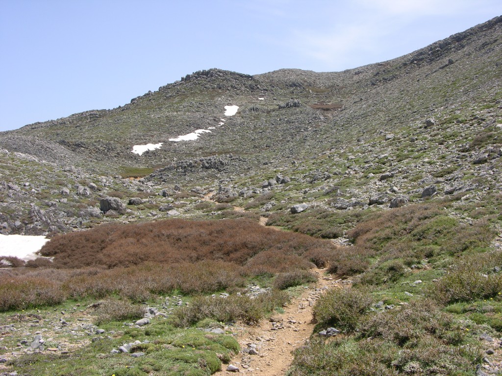 dscn1285.jpg