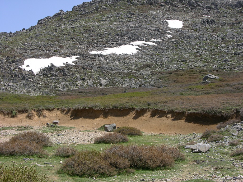 dscn1286.jpg