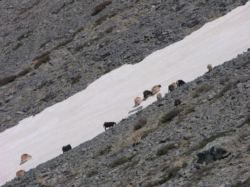 dscn1289.jpg