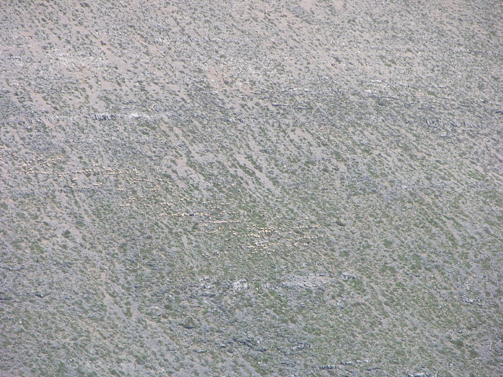 dscn1292.jpg