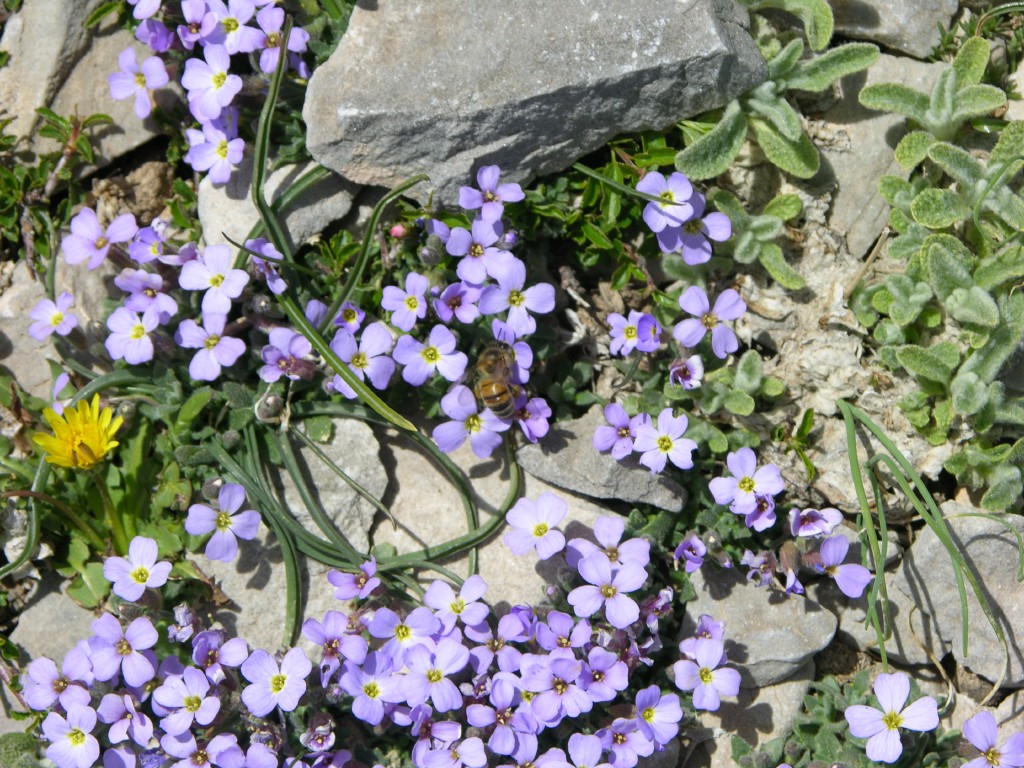 dscn1293.jpg