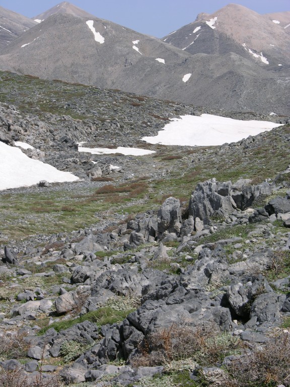 dscn1294.jpg