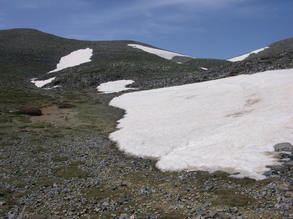 dscn1295.jpg
