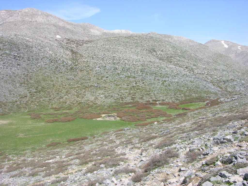 dscn1296.jpg