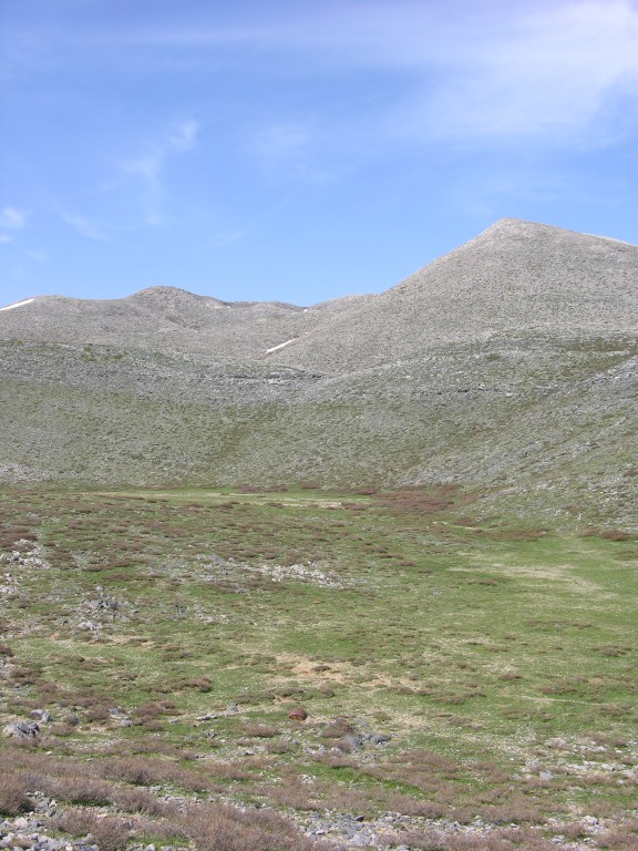 dscn1297.jpg