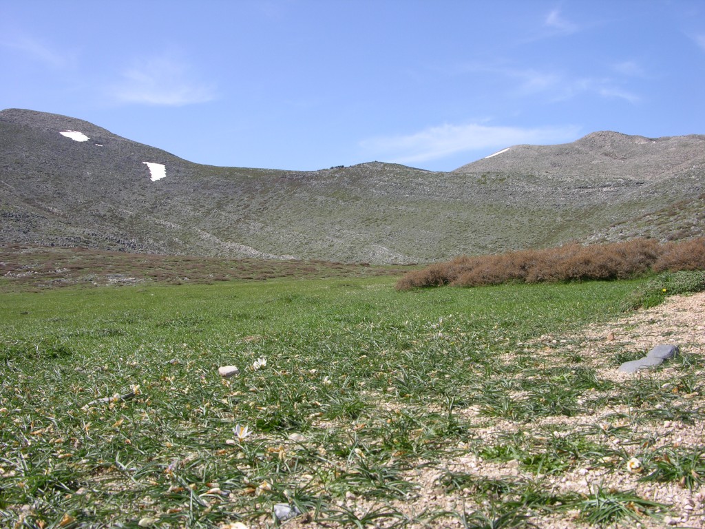 dscn1298.jpg