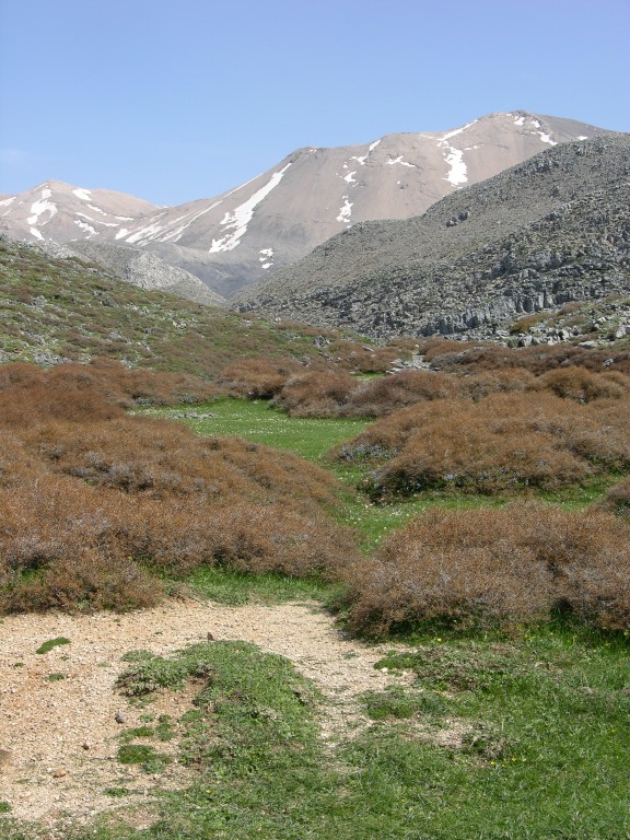dscn1299.jpg