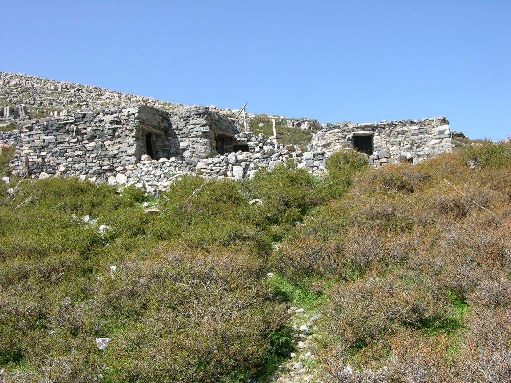 dscn1301.jpg