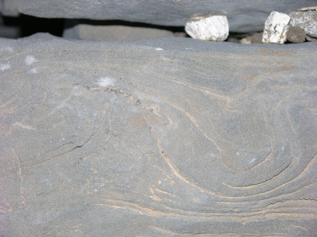 dscn1307.jpg