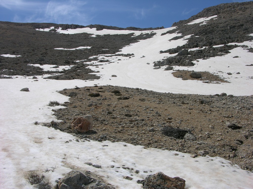 dscn1311.jpg