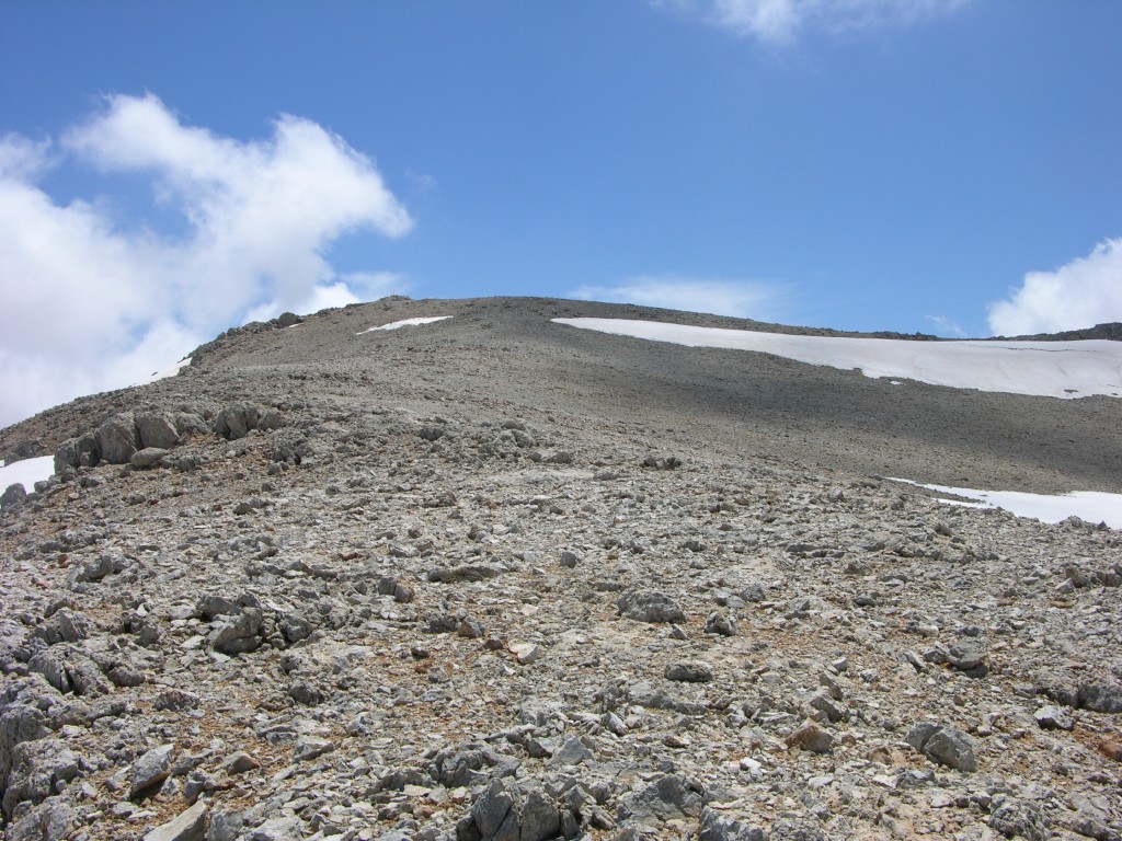 dscn1316.jpg