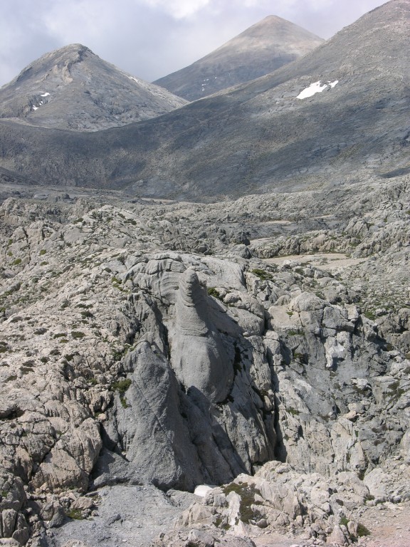 dscn1331.jpg