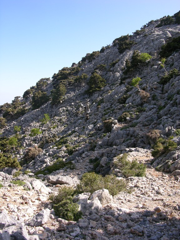 dscn1335.jpg