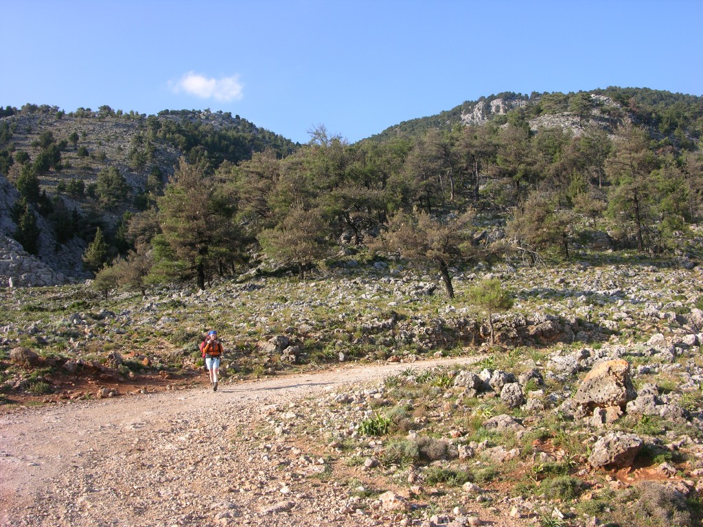 dscn1336.jpg
