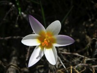 dscn1283.jpg