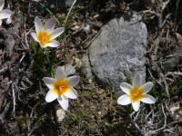 dscn1284.jpg