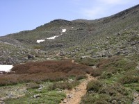 dscn1285.jpg