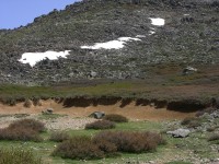 dscn1286.jpg