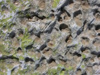 dscn1288.jpg