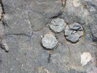 dscn1290.jpg