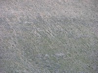 dscn1292.jpg