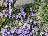 dscn1293.jpg