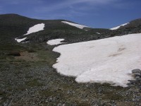 dscn1295.jpg