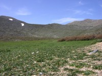 dscn1298.jpg