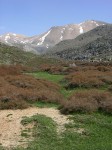 dscn1299.jpg