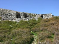 dscn1301.jpg