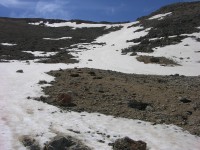 dscn1311.jpg
