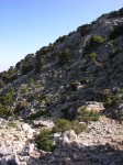 dscn1335.jpg