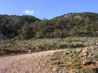 dscn1336.jpg
