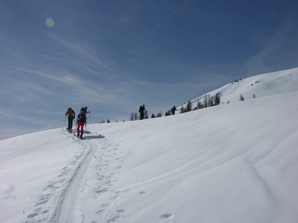 dscn1147.jpg