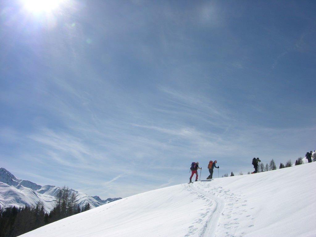dscn1148.jpg