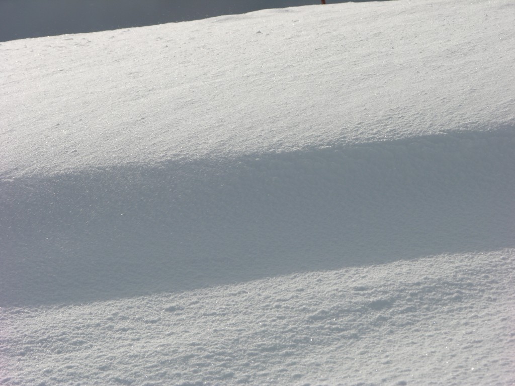 dscn1910.jpg