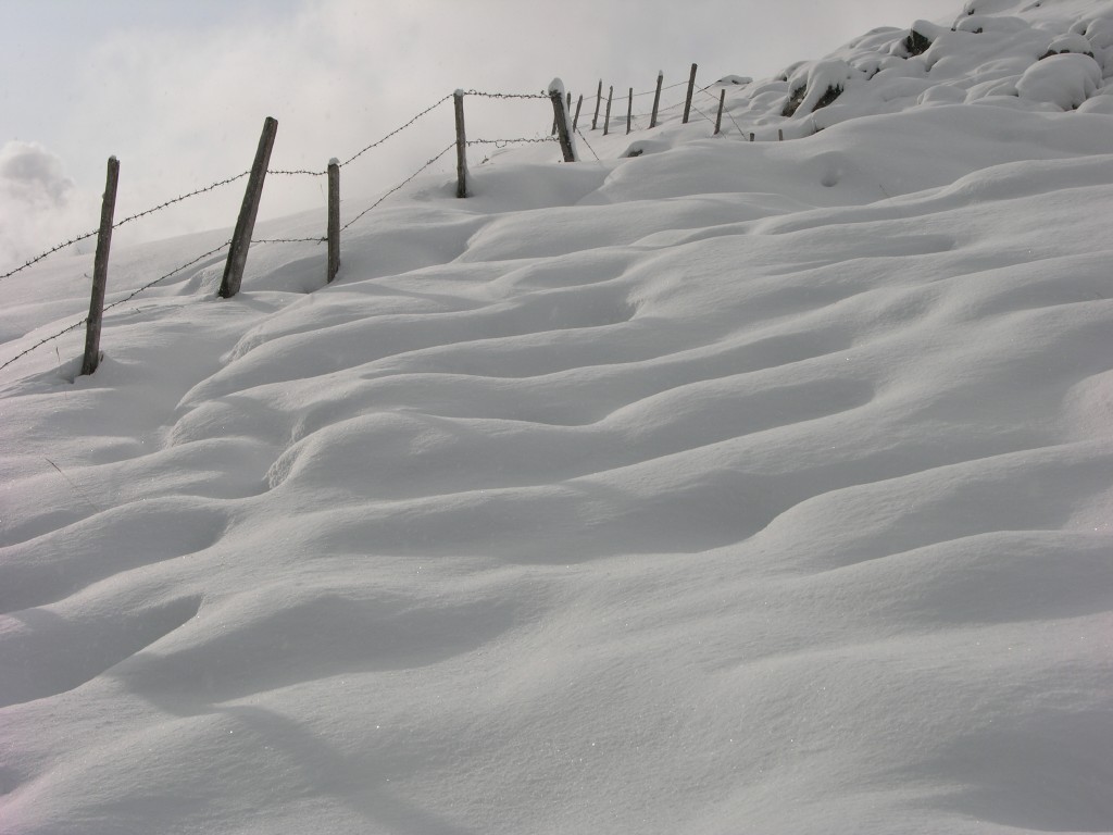 dscn1913.jpg