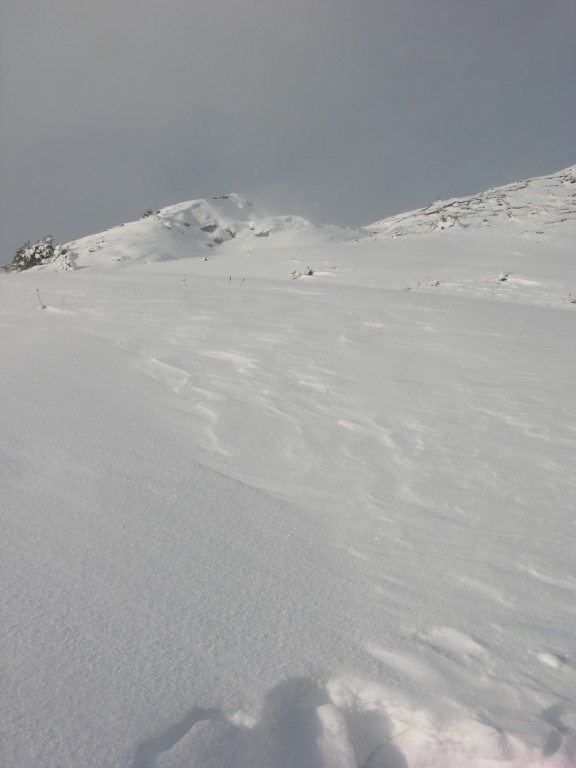 dscn1918.jpg