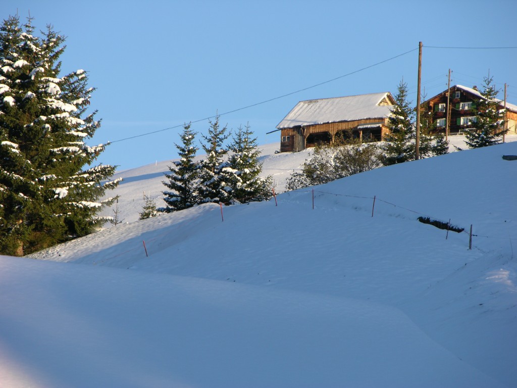 dscn1935.jpg