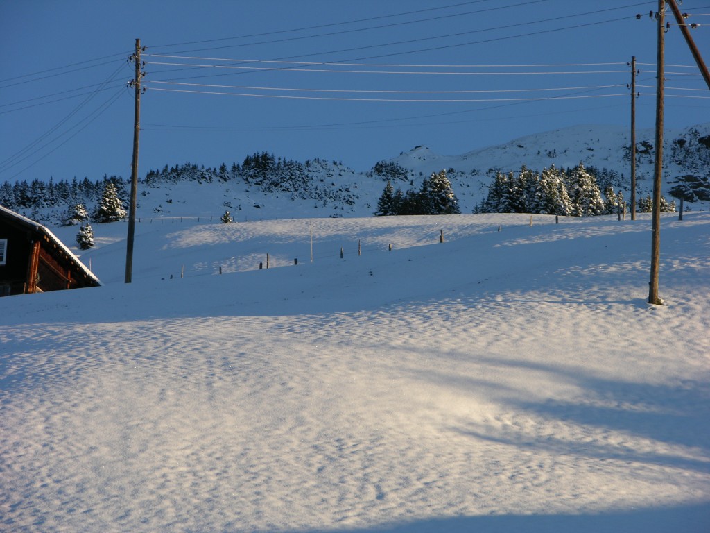 dscn1936.jpg