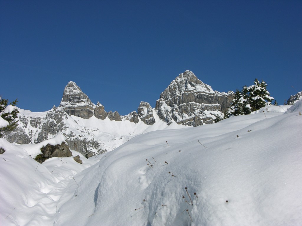 dscn1938.jpg